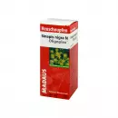 Sinapis Nigra N Oligoplex Сена Liquidum