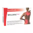 Капсулы Welldisc Plus