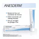 Anesderm 25 мг/г + 25 мг / г Крем + 10 пластырей - Anesderm 25 мг/г + 25 мг / г Крем + 10 пластырей