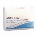 Anesderm 25 мг/г + 25 мг / г Крем + 10 пластырей