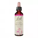 Бах Цветок Sweet Chestnut