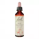 Бах Цветок Red Chestnut