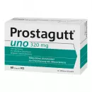 PROSTAGUTT ООН