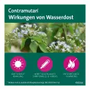 Contramutan Капли - Contramutan Капли