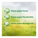 Salviagalen медицинская зубная паста Madaus - Salviagalen медицинская зубная паста Madaus