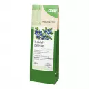 Черничный Лекарственный Чай Myrtilli Fructus Bio Salus