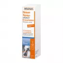 Nasenspray-ratiopharm für Erwachsene, Насенспрей Ратиофарм, назальный спрей для взрослых