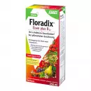 Floradix железо плюс B12 веган