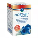 Nortase Капсулы