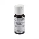 Cichorium Stanno Cultum D 3 Dilution