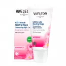 Weleda Шиповник Сглаживающий Ночной Уход
