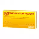 HARPAGOPHYTUM HEVERT в ампулах