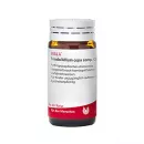 Tendo/ Allium Cepa Comp. Глобулы