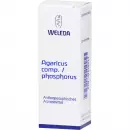 Agaricus Сост./ Phosphorus Dilution