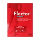 Пластырь Боли Flector
