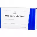 Arnica Planta Tota RH D3