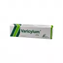 Varicylum активный уход мазь