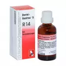 Dormi Gastreu S R14