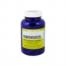 Yamswurzel 500 mg GPH Kapseln, Дикий Ямс GPH 500 мг, капсулы