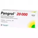 Пангрол 20000