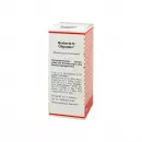 Berberis N Oligoplex Liquidum