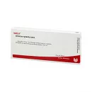 ARNICA E PLANTA TOTA D10