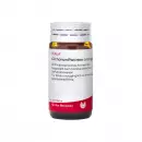 Cichorium Pancreas Comp., глобулы