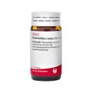 Chamomilla E Radix D 6 Globuli