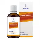 Digestodoron Dilution, Дигестодорон, раствор