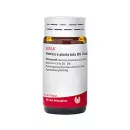 Arnica E Planta Tota D 6 Globuli