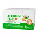 Acurmin Плюс Мягкие Капсулы Mizell-Curcuma