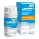 Lactrase 6.000 капсулы FCC