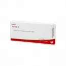 BRONCHI GL D 5