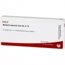 MEDULLA SPINA мертвый GL D10