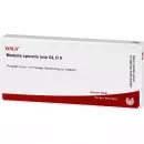 MEDULLA SPINA МЕРТВЫЙ GL D 8