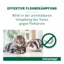 Advantage 40 мг кошка + маленький декоративный кролик - Advantage 40 мг кошка + маленький декоративный кролик