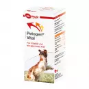 Petogen vet Vital Жидкое.