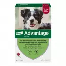 Advantage 250 Собака