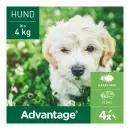 Advantage 40 Собака - Advantage 40 Собака