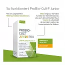 Syxyl ProBio-Cult Junior Pro - Syxyl ProBio-Cult Junior Pro