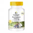 Bromelain 250 mg, Бромелайн 250 мг, пищевая добавка