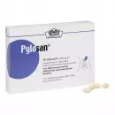 Pylosan