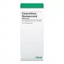 Ceanothus Homaccord, Цеанотус Гомаккорд, раствор