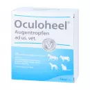 Oculoheel Augentropfen ad us. vet. Einzeldosisbehältnis, Окулохель глазные ветеринарные капли в разовых пипетках