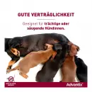 Спот-капельное средство Advantix для собак весом 25-40 кг - Спот-капельное средство Advantix для собак весом 25-40 кг