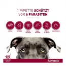 Спот-капельное средство Advantix для собак весом 25-40 кг - Спот-капельное средство Advantix для собак весом 25-40 кг