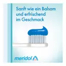 Зубная паста с комплексным уходом Meridol - Зубная паста с комплексным уходом Meridol