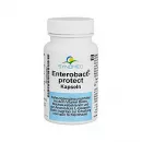 Капсулы Enterobact-Protect