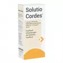 Решение Solutio Cordes