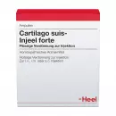 Cartilago suis-Injeel Forte, Картилаго Суис-Инъель Форте, ампулы